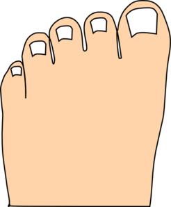 toes